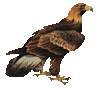 деревянный орел